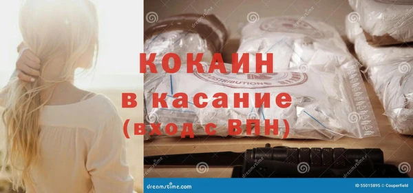 хмурый Алзамай