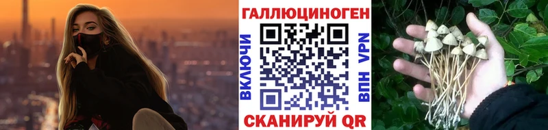 Галлюциногенные грибы прущие грибы  Яровое 